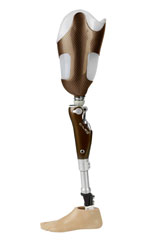 C-Leg C-Leg