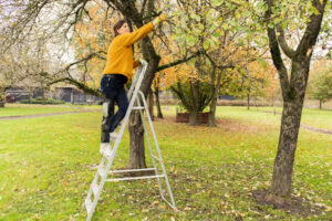 Woman climbing up a ladder against a tree